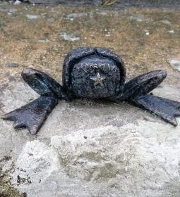 Kolodko: Békalábas usanka