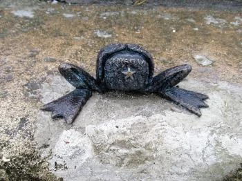 Kolodko: Békalábas usanka Budapest