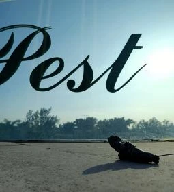 Kolodko: Chuck Norris miniszobor