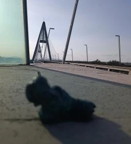 Kolodko: Chuck Norris miniszobor