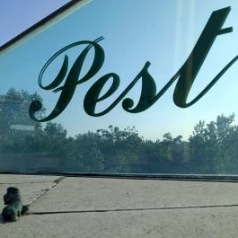 Kolodko: Chuck Norris miniszobor, Budapest - Egyéb