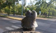 Kolodko: Dr. Bubó és a gyógyuló nyúl miniszobor, Budapest