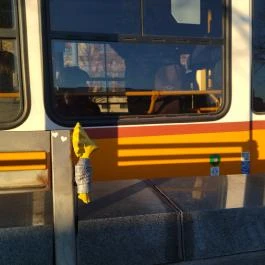 Kolodko: Lisa Simpson miniszobor, Budapest - Egyéb