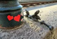 Kolodko: Lufikutya csonttal miniszobor Budapest