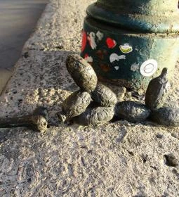 Kolodko: Lufikutya csonttal miniszobor