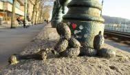 Kolodko: Lufikutya csonttal miniszobor Budapest - Egyéb