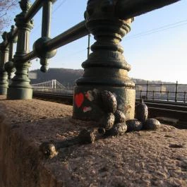 Kolodko: Lufikutya csonttal miniszobor Budapest - Egyéb