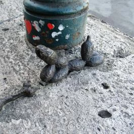 Kolodko: Lufikutya csonttal miniszobor Budapest - Egyéb