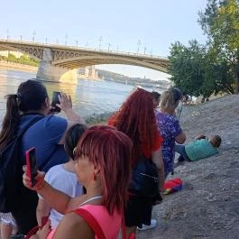 Kolodko: Meditáló nyúl miniszobor, Budapest - Külső kép