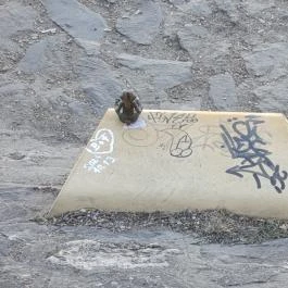 Kolodko: Meditáló nyúl miniszobor, Budapest - Külső kép