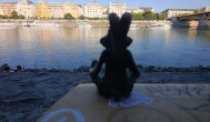 Kolodko: Meditáló nyúl miniszobor, Budapest