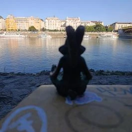 Kolodko: Meditáló nyúl miniszobor, Budapest - Külső kép