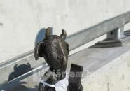 Kolodko: Mekk Elek miniszobor Budapest