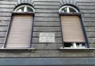 Kolodko: Micimackó Budapest