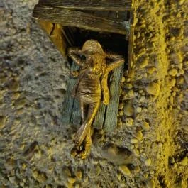 Kolodko: Piszkos Fred miniszobor Budapest - Egyéb