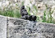 Kolodko: In vino veritas miniszobor Budapest