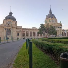 Kolodko: Zsigmondy Vilmos miniszobor, Budapest - Külső kép