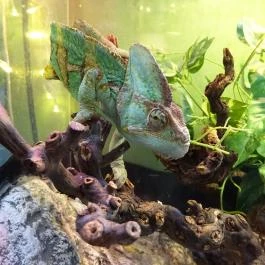 Kölyökvadon Játszóház Étterem - Récsei Center Budapest - Egyéb