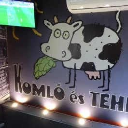 Komló és Tehén Budaörs - Egyéb