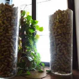 Korhely Faloda & Daloda, Budapest - Belső