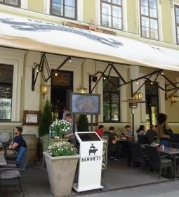 Korhely Faloda & Daloda