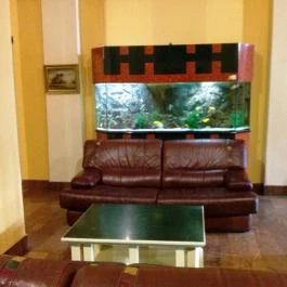 Korona Hotel Nyíregyháza - Belső