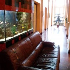 Korona Hotel Nyíregyháza - Belső