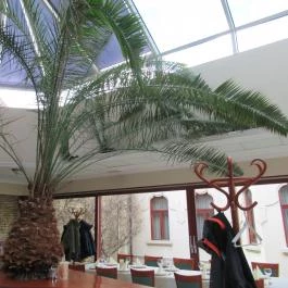 Koronakert Étterem Budapest - Belső