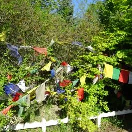 Kőrösi Csoma Sándor Emlékpark és Békesztúpa, Tar - 