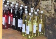 Krajcsi Családi Pincészet Etyek