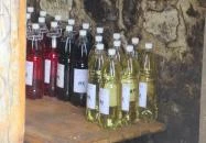 Krajcsi Családi Pincészet Etyek