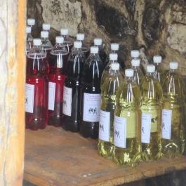 Krajcsi Családi Pincészet, Etyek - Egyéb