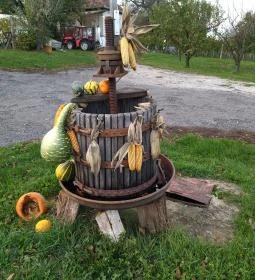 Kránicz Borház és Étterem