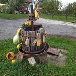 Kránicz Borház és Étterem Garabonc - Egyéb