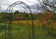 Kránicz Borház és Étterem Garabonc