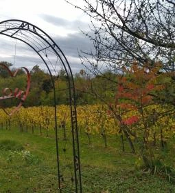 Kránicz Borház és Étterem