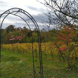 Kránicz Borház és Étterem Garabonc - Egyéb