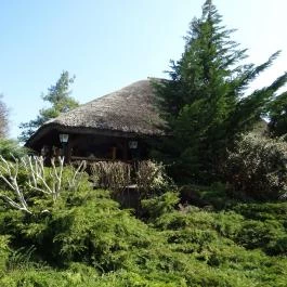 Krapaj Csárda Diósd - Külső kép