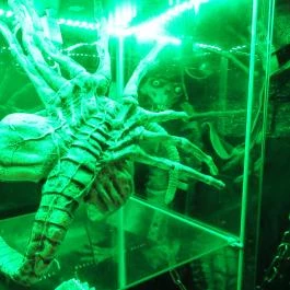 Kripta Söröző Budapest - Belső