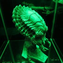 Kripta Söröző Budapest - Belső