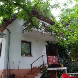 Krokodil Étterem, Panzió & Vendégház Balf - Külső kép