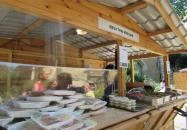 Krua Thai Wok Bar Budapest