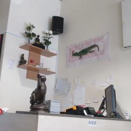 Krua Thai Wok Bar Budapest - Belső