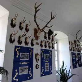 Forgách-kastély Szécsény - Egyéb