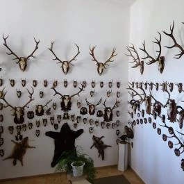 Forgách-kastély Szécsény - Egyéb