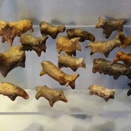 Forgách-kastély Szécsény - Egyéb