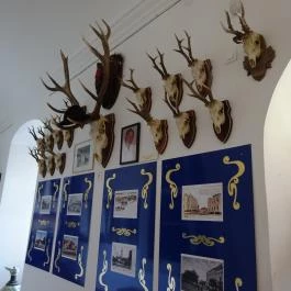 Forgách-kastély Szécsény - Egyéb