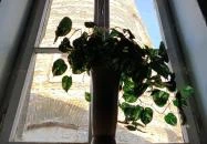 Kuruc-dombi egykori szélmalom Sopron