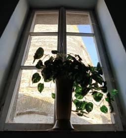 Kuruc-dombi egykori szélmalom