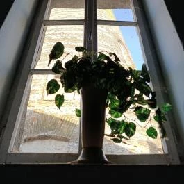 Kuruc-dombi egykori szélmalom Sopron - Egyéb